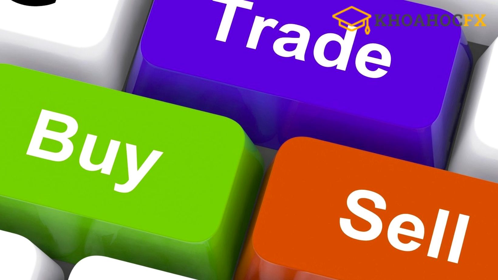 Trader Cần Hiểu Rõ Lệnh Buy Và Sell Trong Forex Là Gì