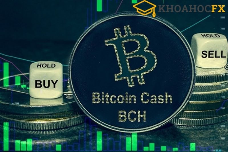 Chia sẻ về nguyên nhân ra đời của tiền điện tử Bitcoin Cash