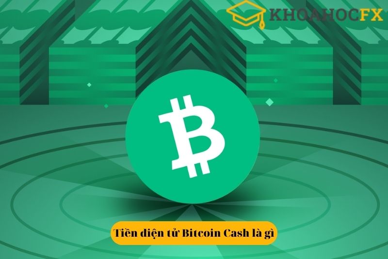 Giới thiệu tiền điện tử Bitcoin Cash là gì