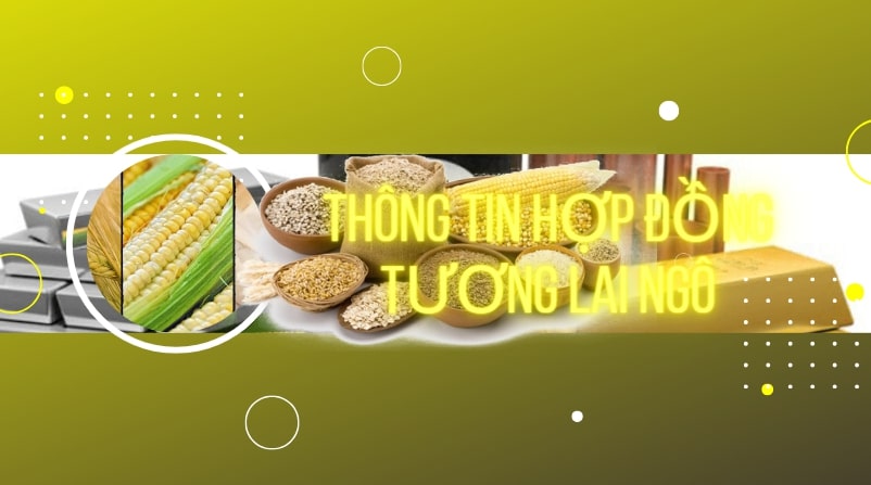 Corn là gì và cách thức giao dịch hợp đồng tương lai Corn